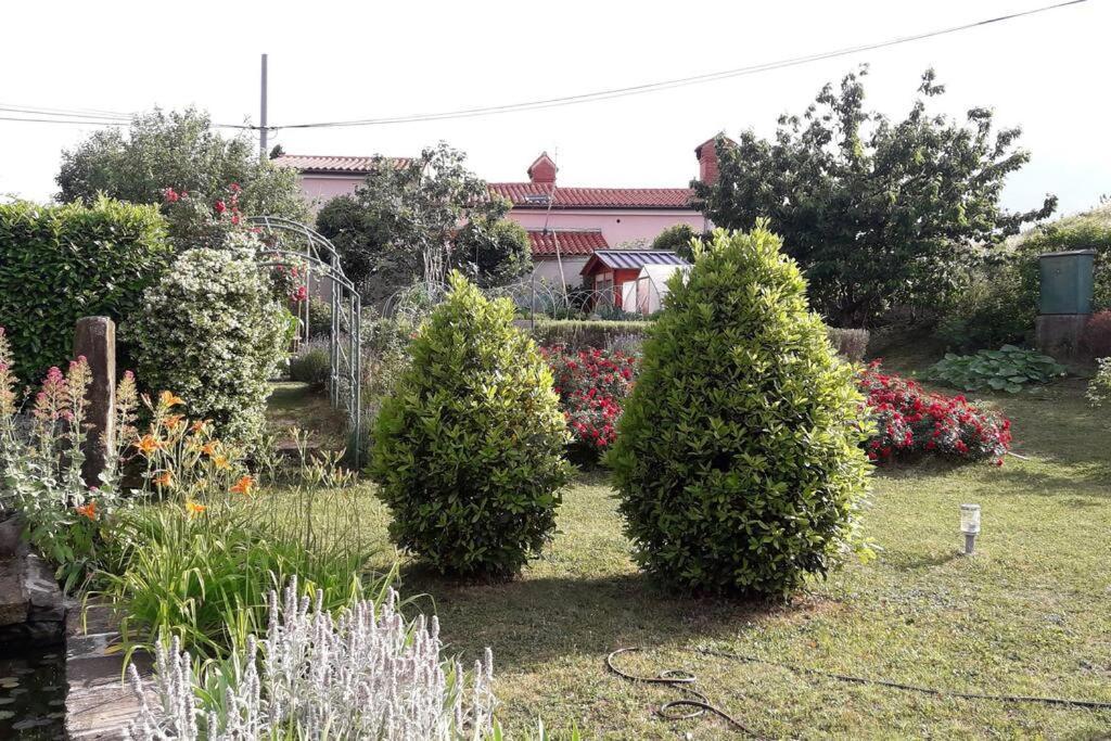 Apartma Oljka Pomjan Šmarje Dış mekan fotoğraf