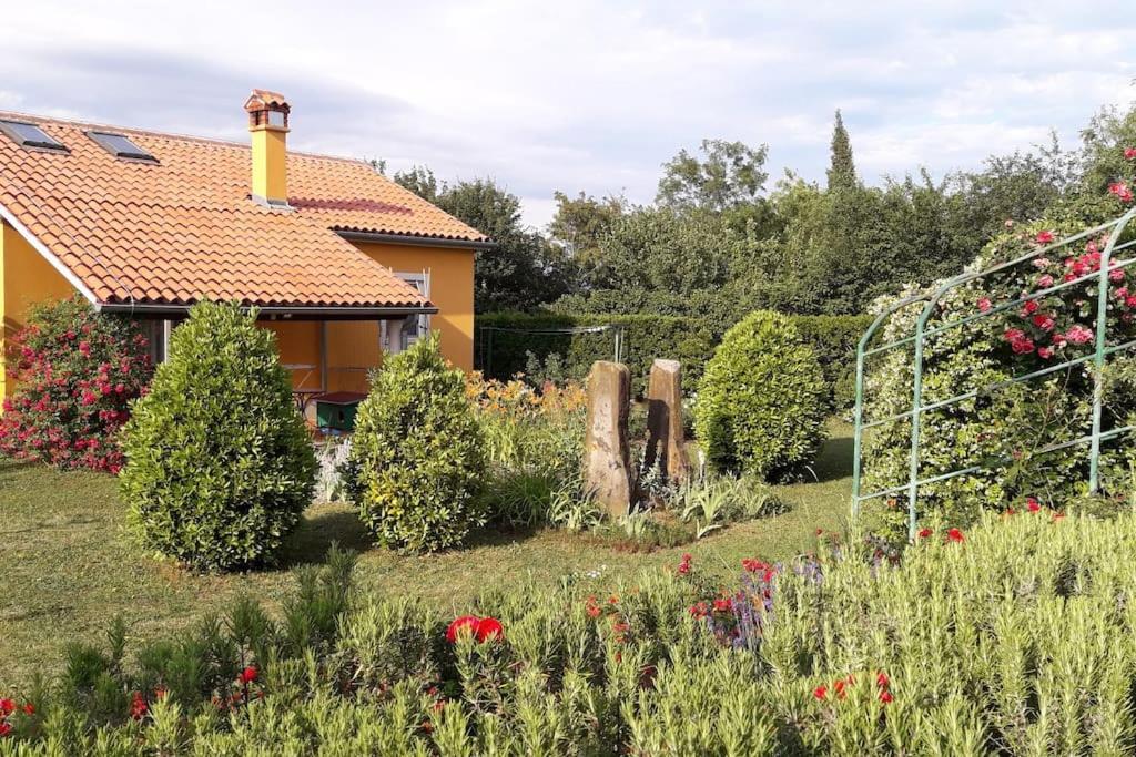 Apartma Oljka Pomjan Šmarje Dış mekan fotoğraf
